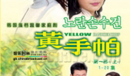 黄手帕电视剧,温情岁月里的爱与救赎