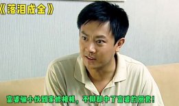 落泪成金电视剧,泪水中绽放的坚韧人生